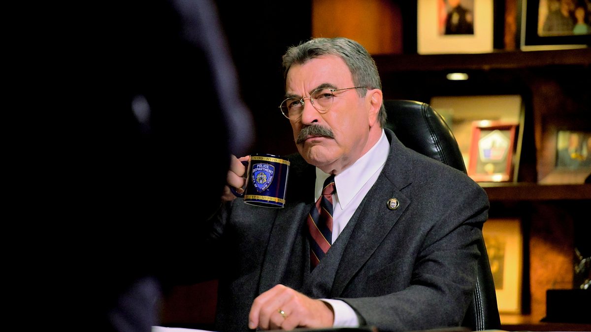 blue bloods - crime scene new york