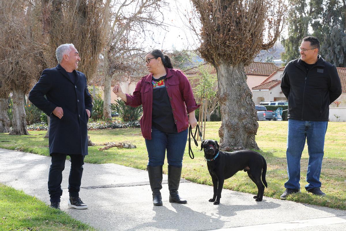 Cesar Millan: Guter Mensch, guter Hund cesar millan: guter mensch, guter hund