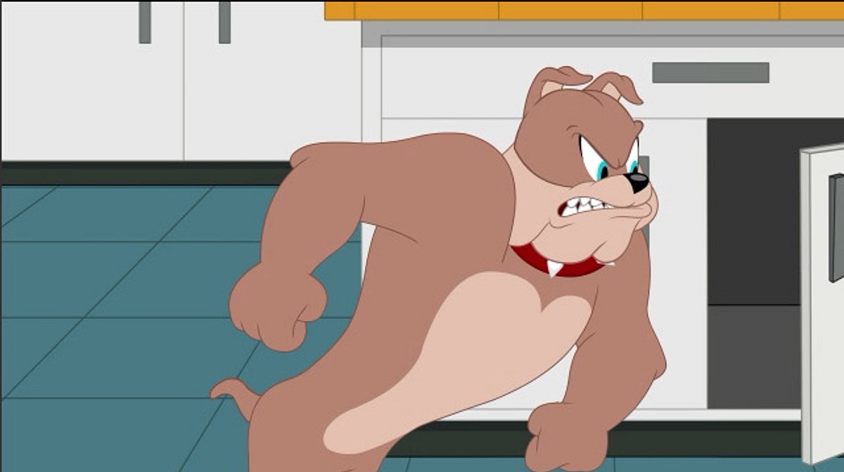 Die Tom und Jerry Show die tom und jerry show