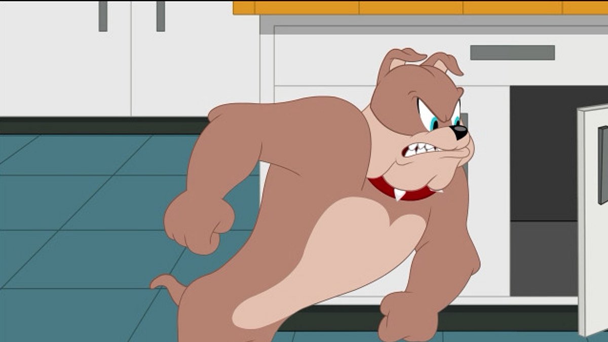 die tom und jerry show