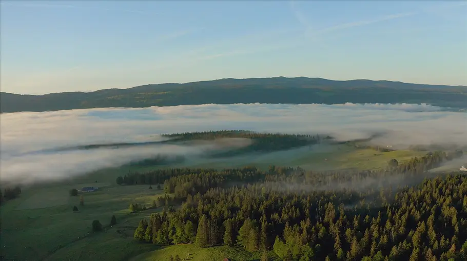 3satThementag: Film ab - Schweiz 3satthementag: film ab - schweiz