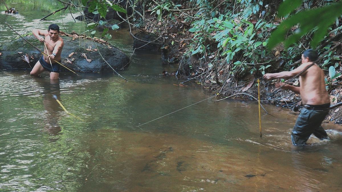 deep in the wild: aufbruch in den dschungel