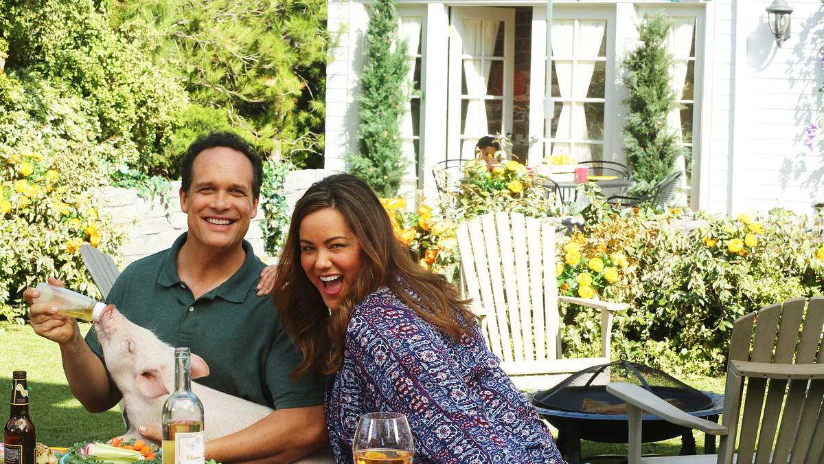 american housewife