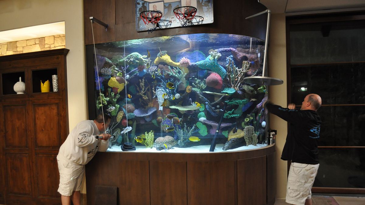 die aquarium-profis