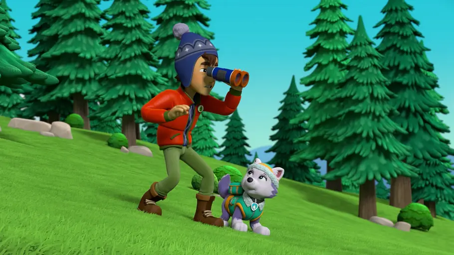 paw patrol - helfer auf vier pfoten