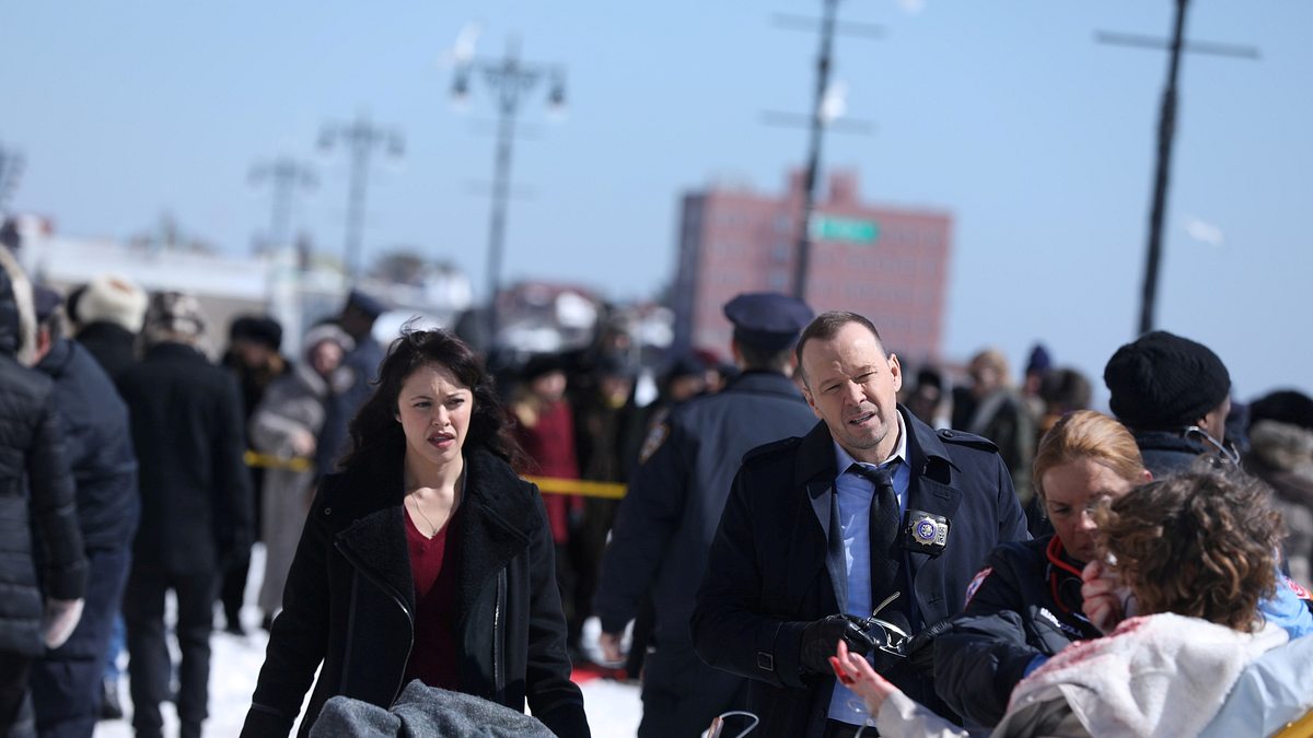 blue bloods - crime scene new york