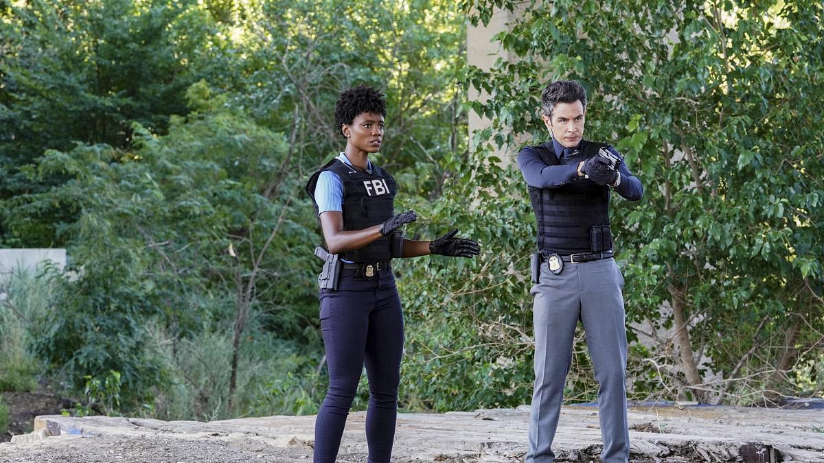 fbi: special crime unit