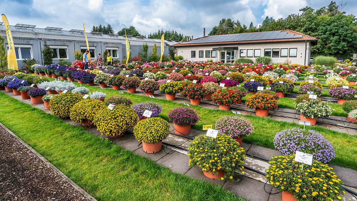 rasch durch den garten