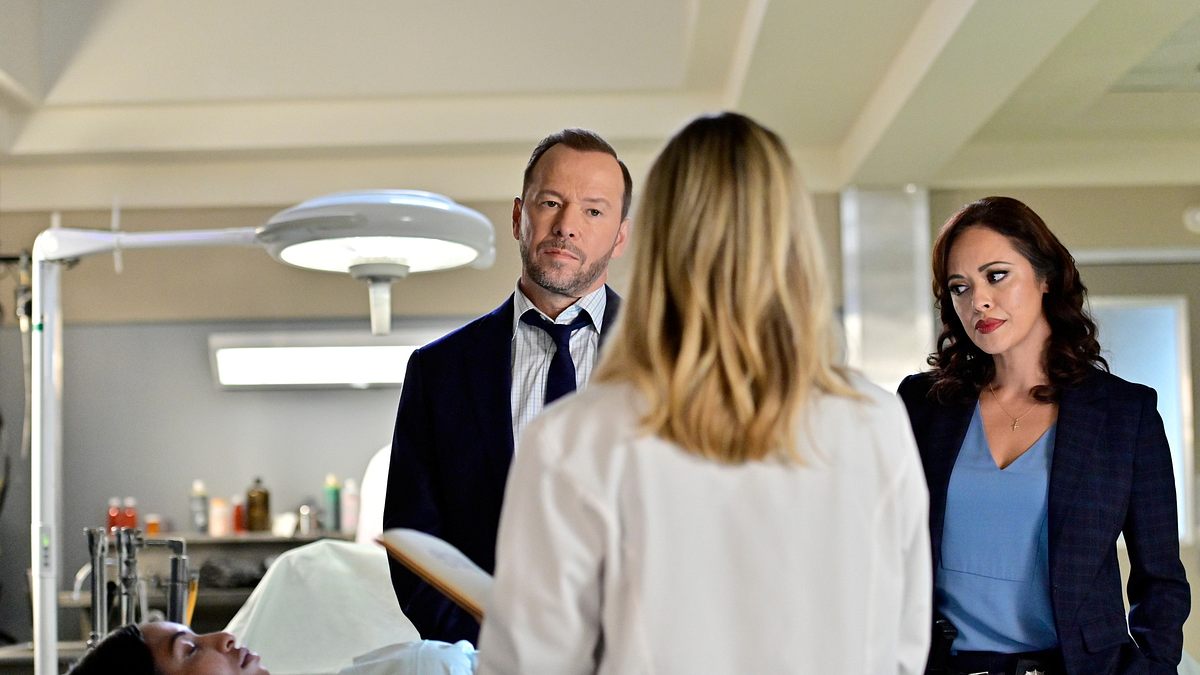 blue bloods - crime scene new york
