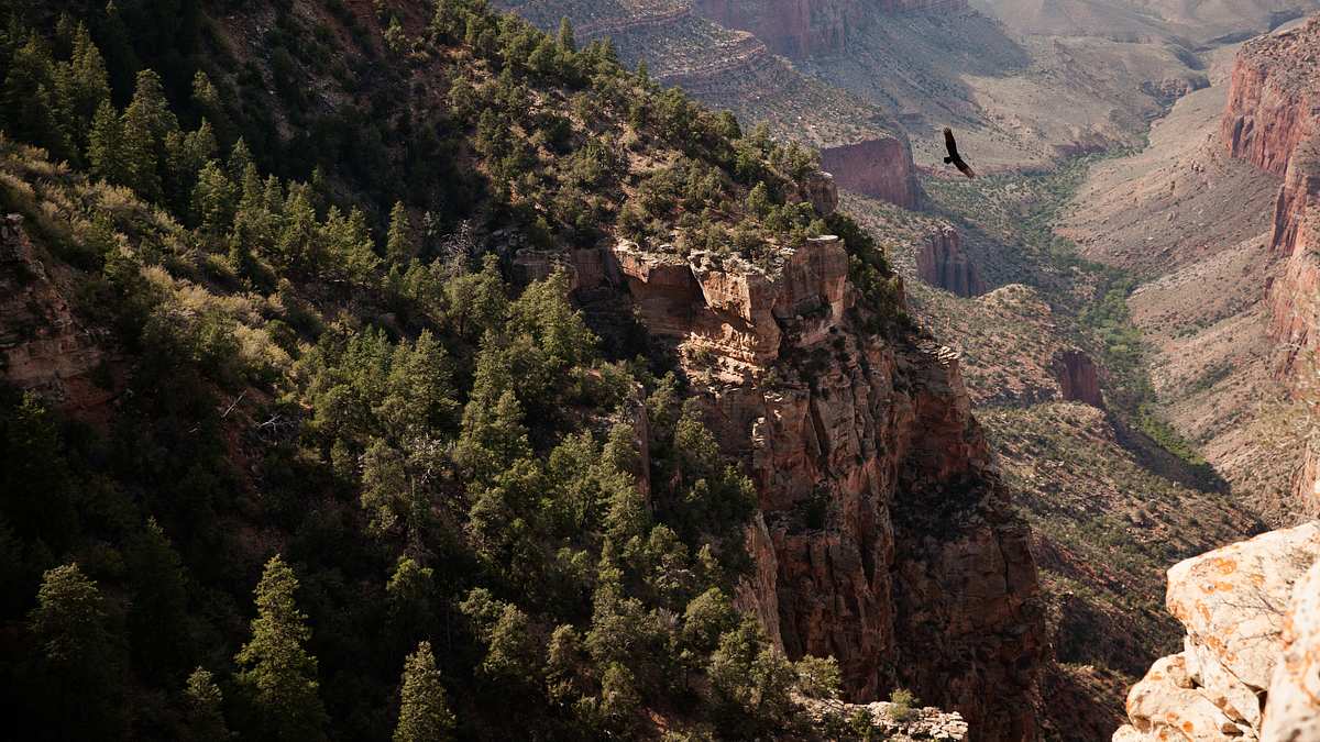 amerikas nationalparks