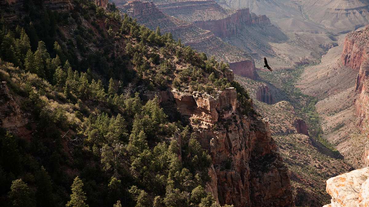 amerikas nationalparks