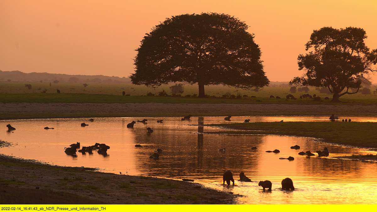 kolumbien - wildnis zwischen amazonas und orinoco