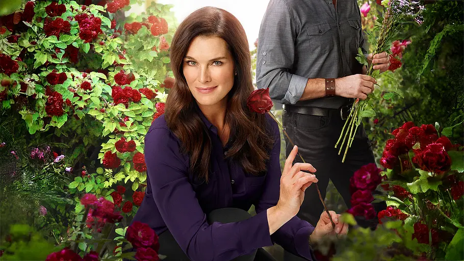 blumenkrimi: die chrysantheme des bösen