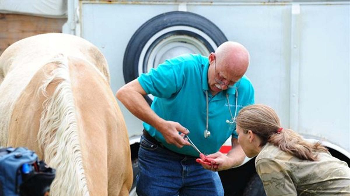 der unglaubliche dr. pol