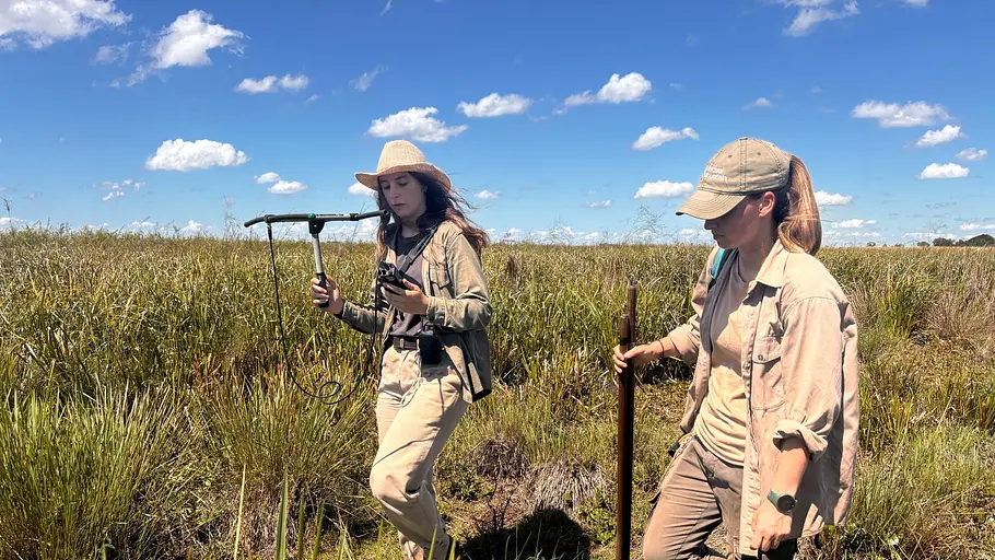 Argentinien argentinien
