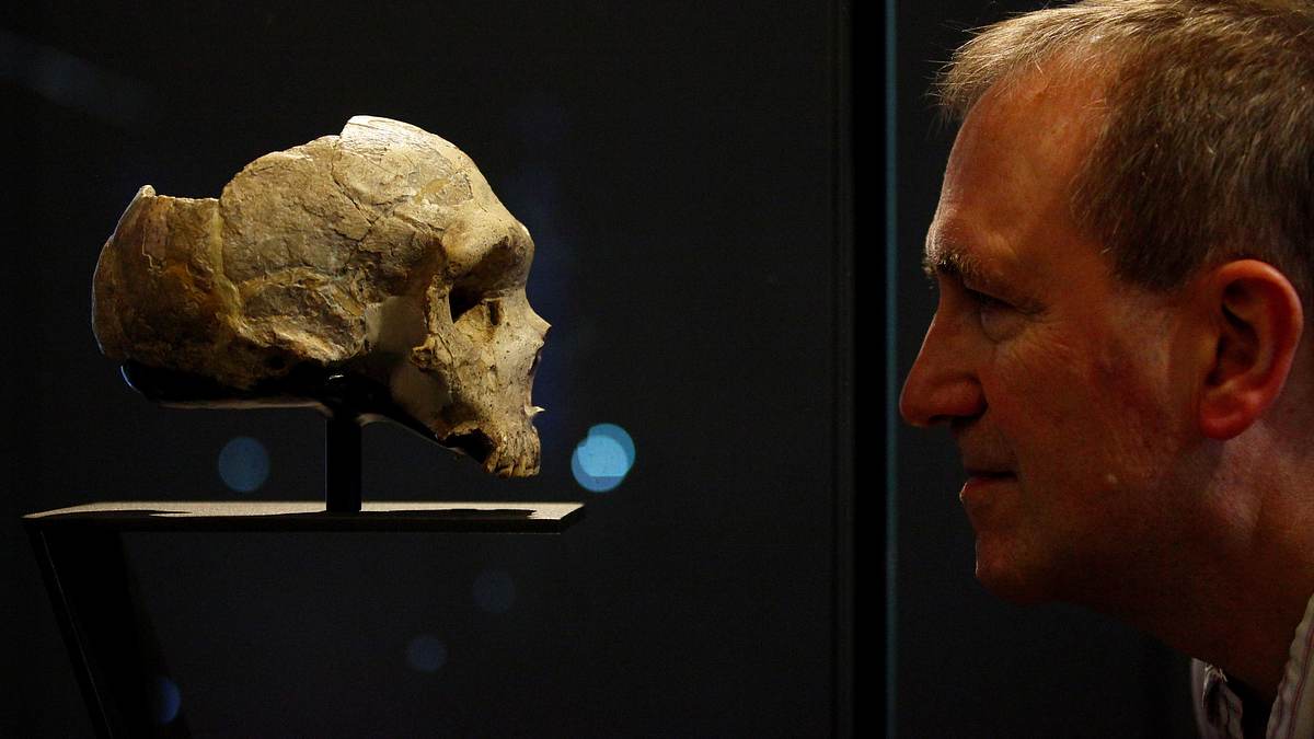 das unerklärliche mit william shatner