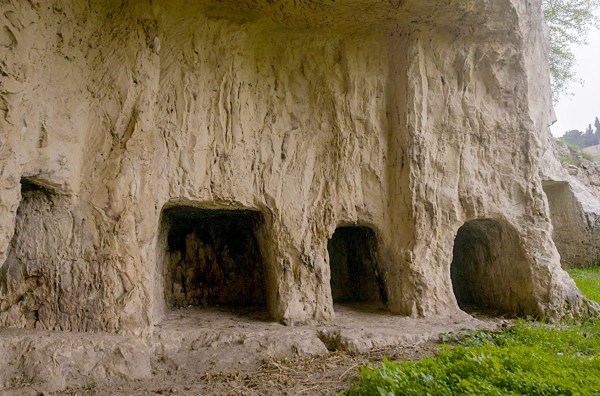 Das Grabtuch von Turin - Ein Mysterium das grabtuch von turin - ein mysterium