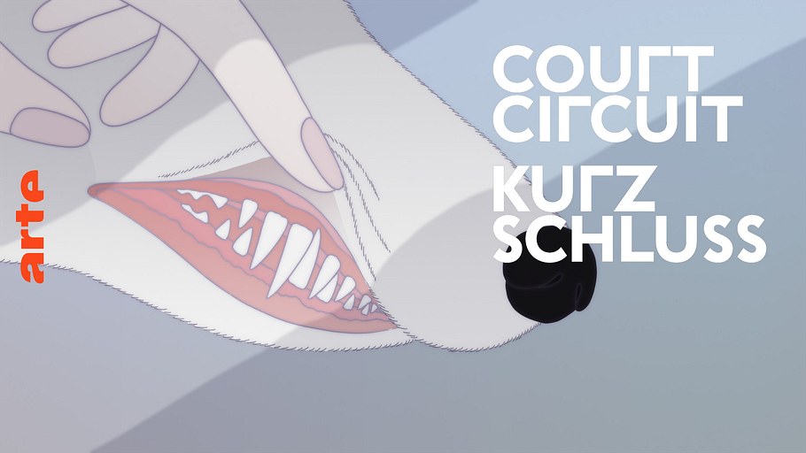 kurzschluss