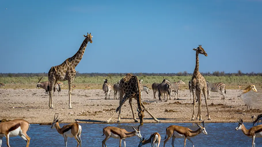 24 stunden wildnis