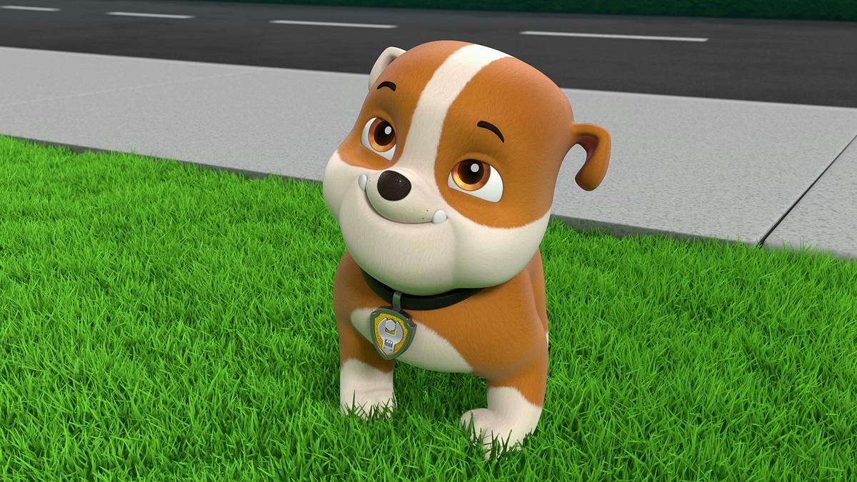 Paw Patrol - Helfer auf vier Pfoten paw patrol - helfer auf vier pfoten