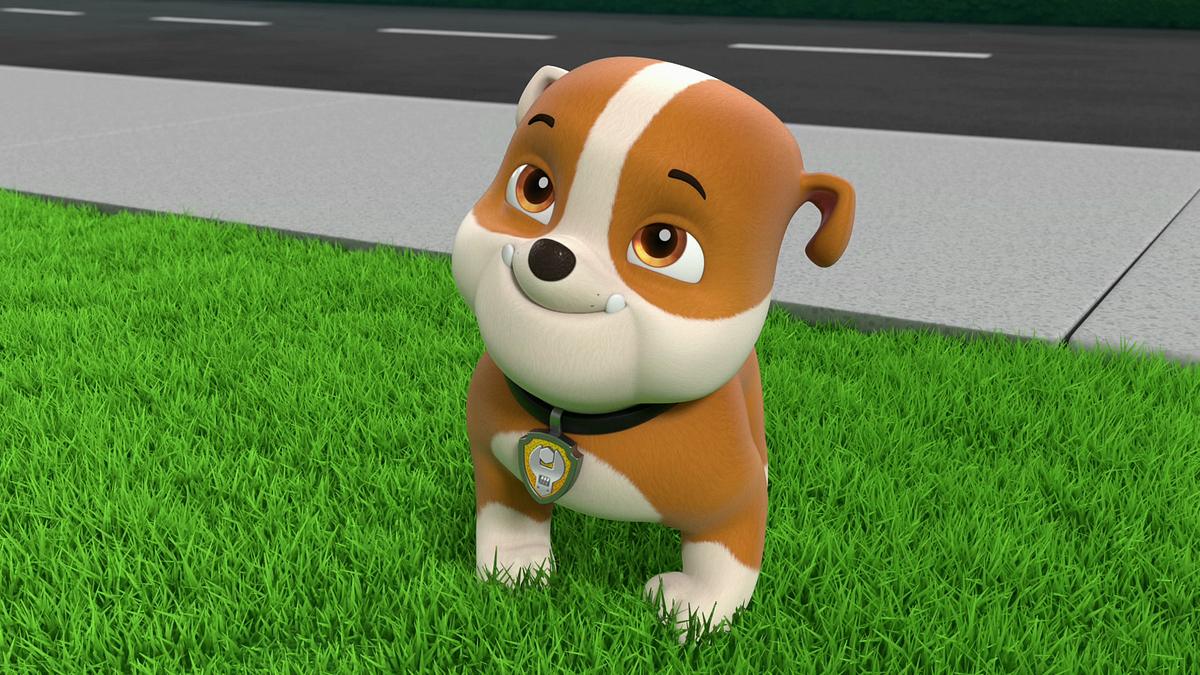 paw patrol - helfer auf vier pfoten