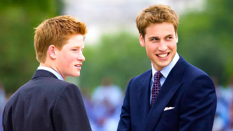 harry vs. william - der royale bruderzwist