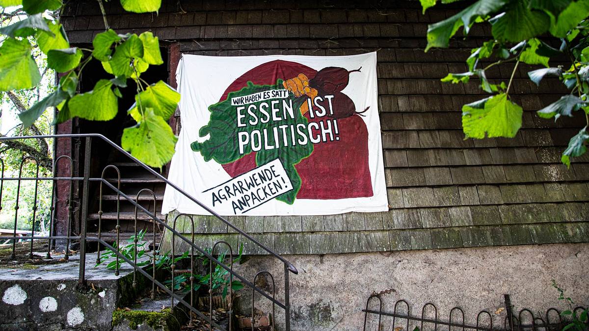 wissen und mehr