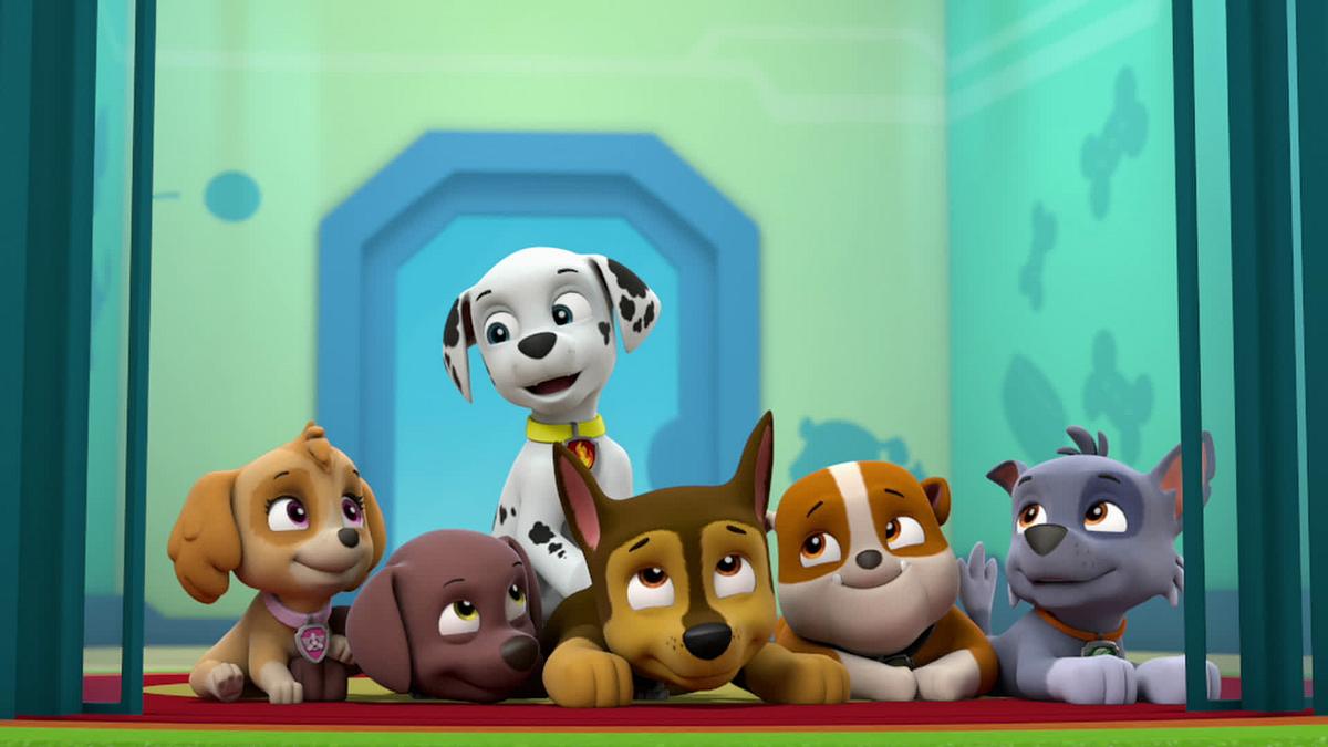 Paw Patrol - Helfer auf vier Pfoten paw patrol - helfer auf vier pfoten