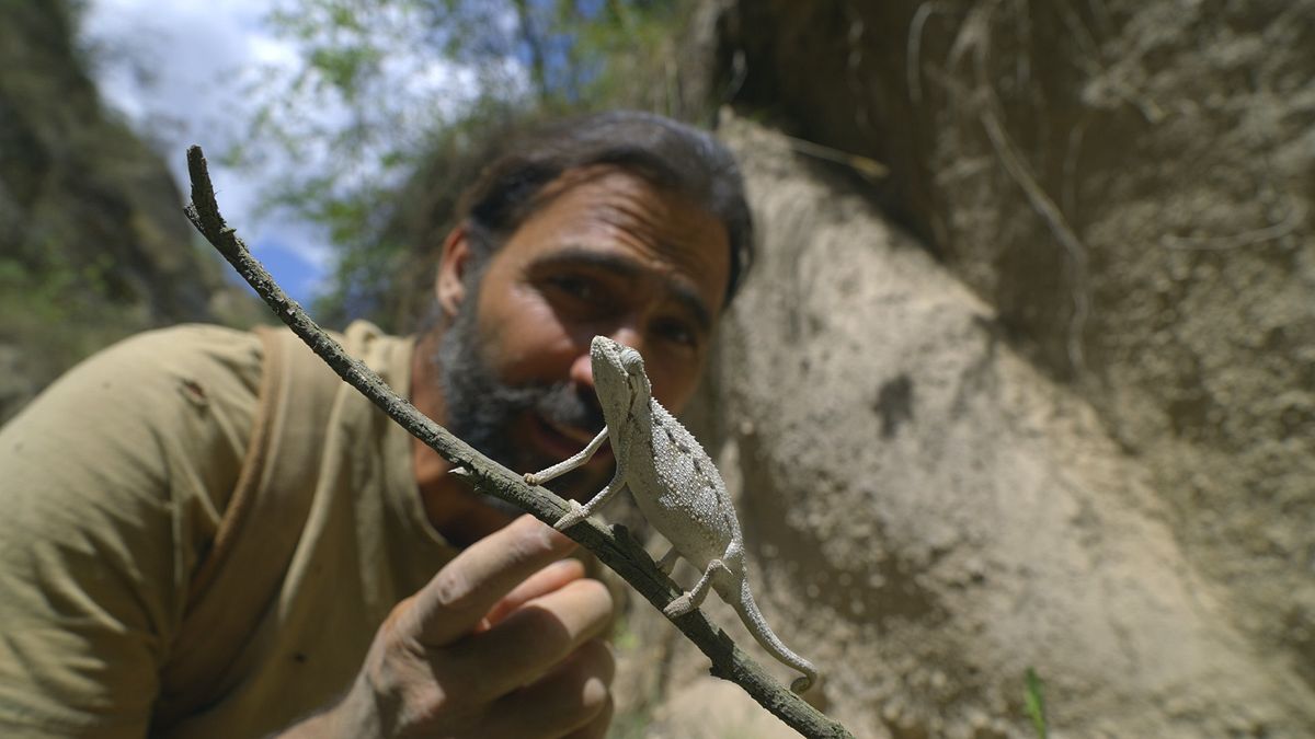 Extreme Survival mit Hazen Audel: Safari durch das Rift Valley extreme survival mit hazen audel: safari durch das rift valley