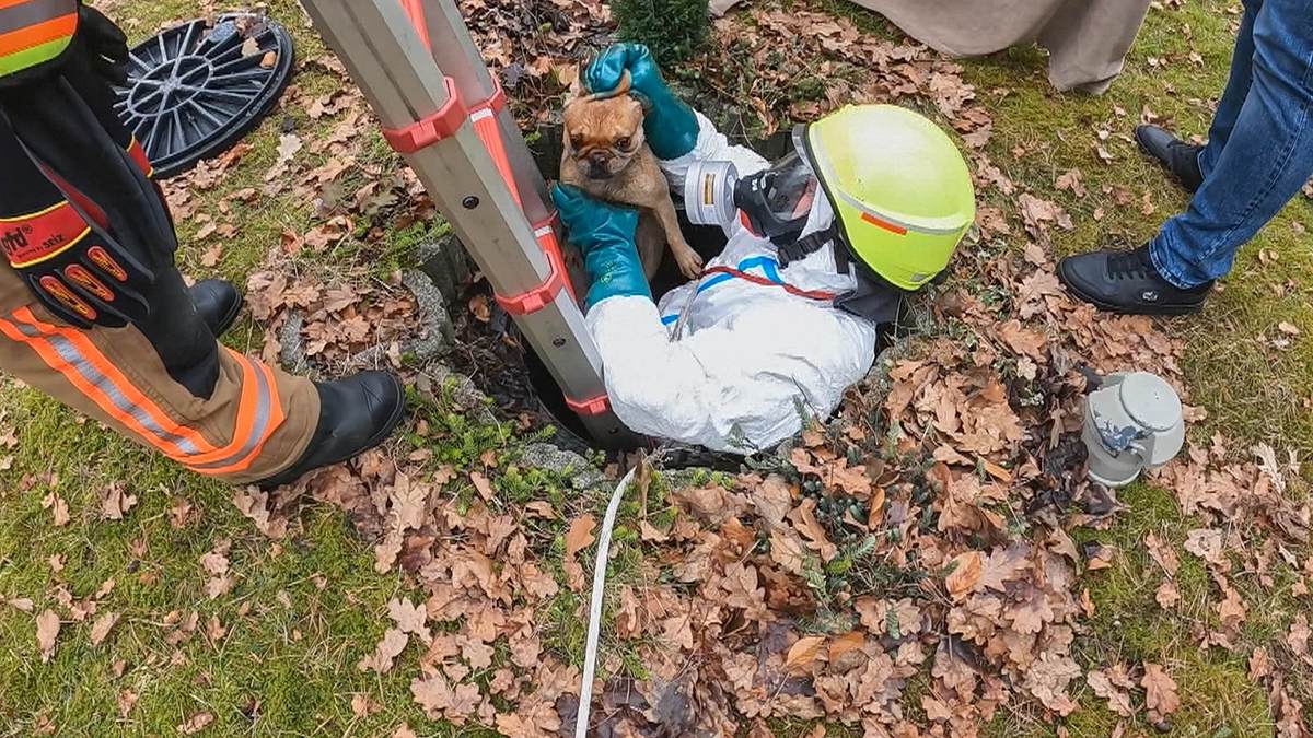 112: feuerwehr im einsatz