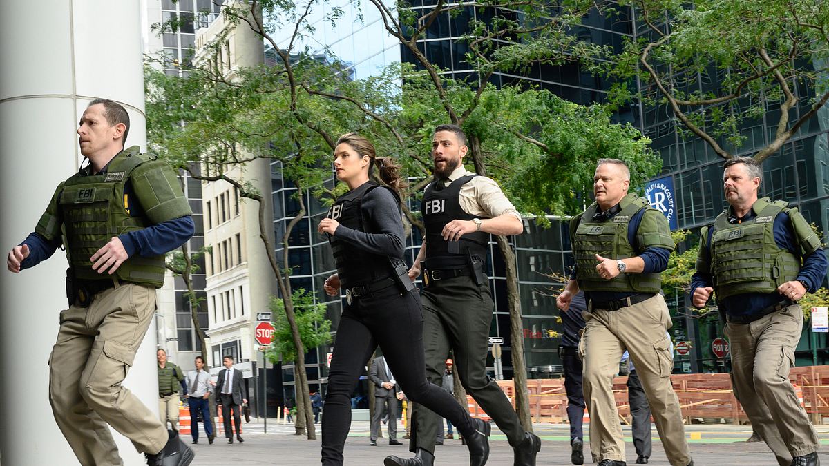 fbi: special crime unit