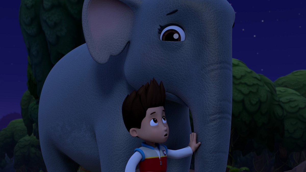 paw patrol - helfer auf vier pfoten