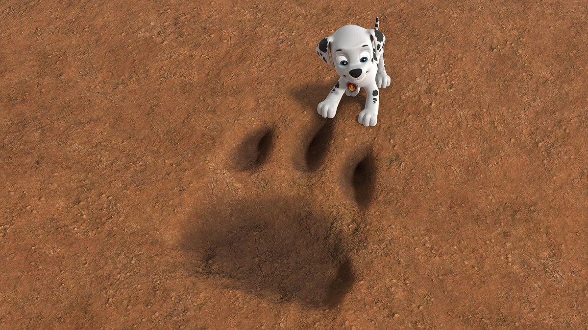 Paw Patrol - Helfer auf vier Pfoten paw patrol - helfer auf vier pfoten