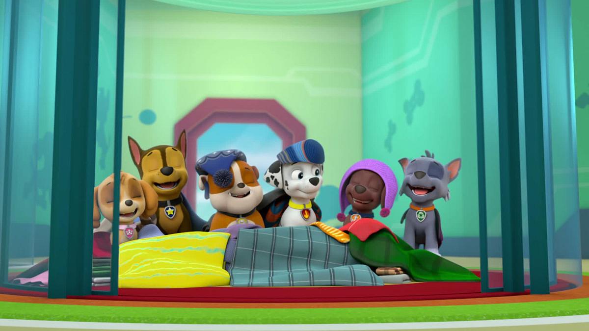 Paw Patrol - Helfer auf vier Pfoten paw patrol - helfer auf vier pfoten