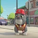 Rubble und Crew Thumbnail