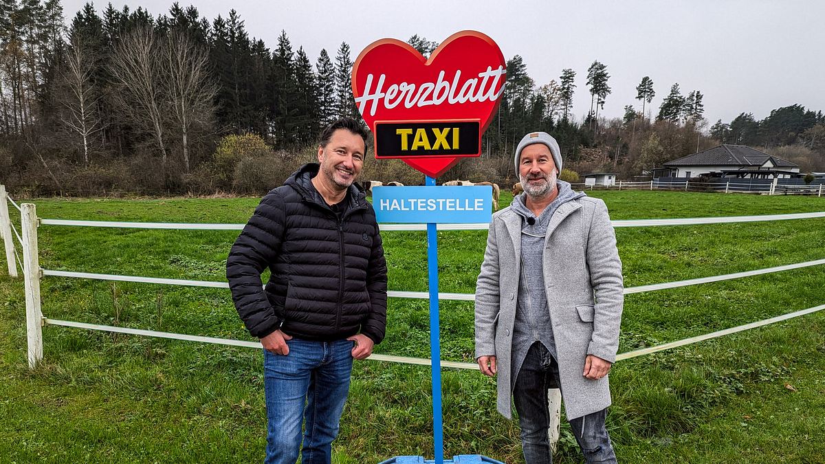 herzblatt taxi - liebe zum mitnehmen
