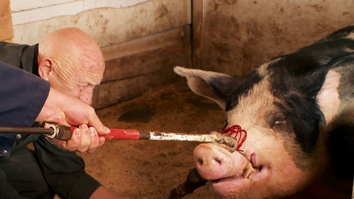 der unglaubliche dr. pol