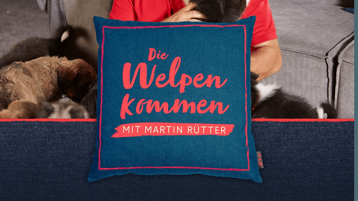 martin rütter - die welpen kommen