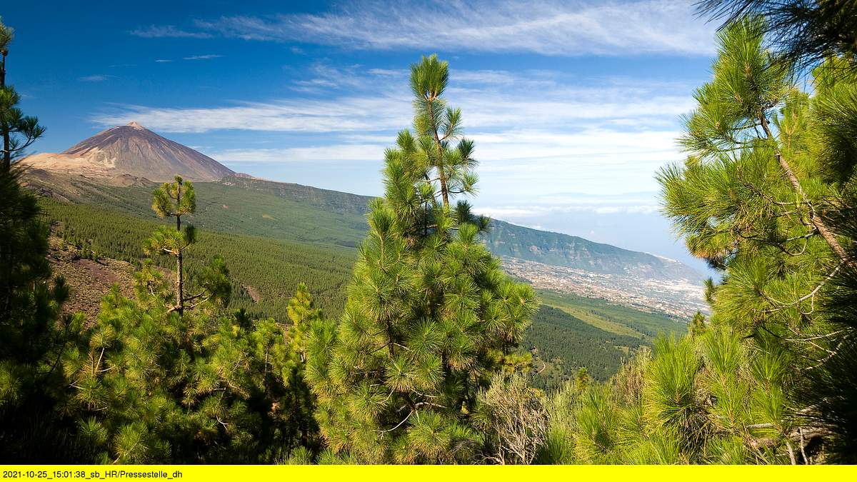 nachhaltig unterwegs auf teneriffa