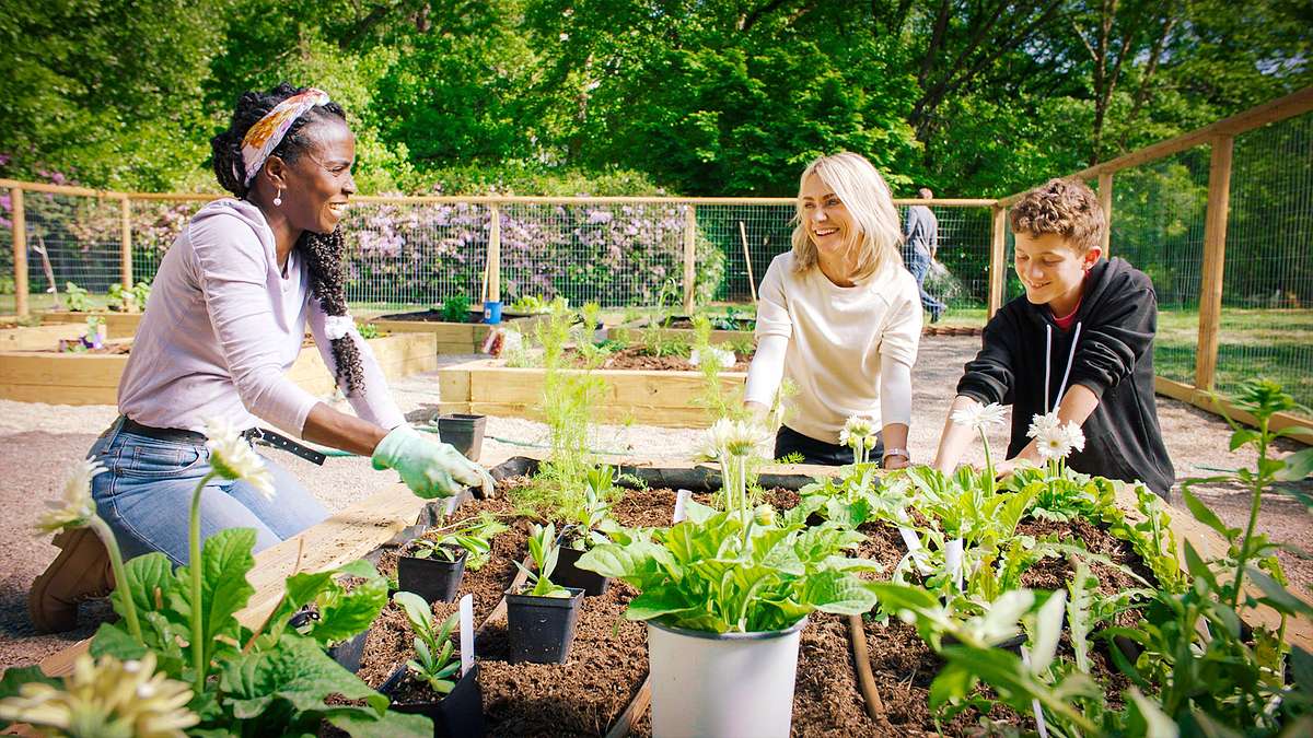 Homegrown - Aus Liebe zum Garten homegrown - aus liebe zum garten