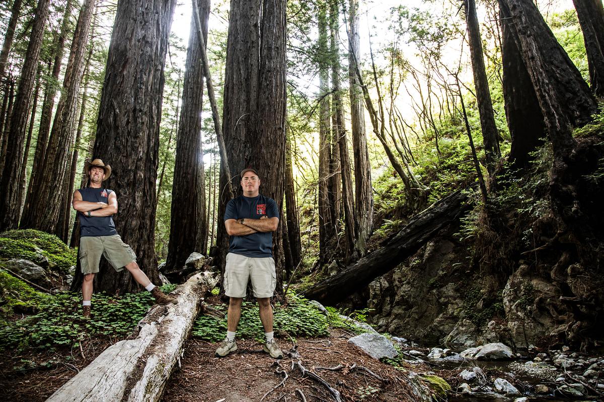 Redwood Kings - Träume aus Holz redwood kings - träume aus holz