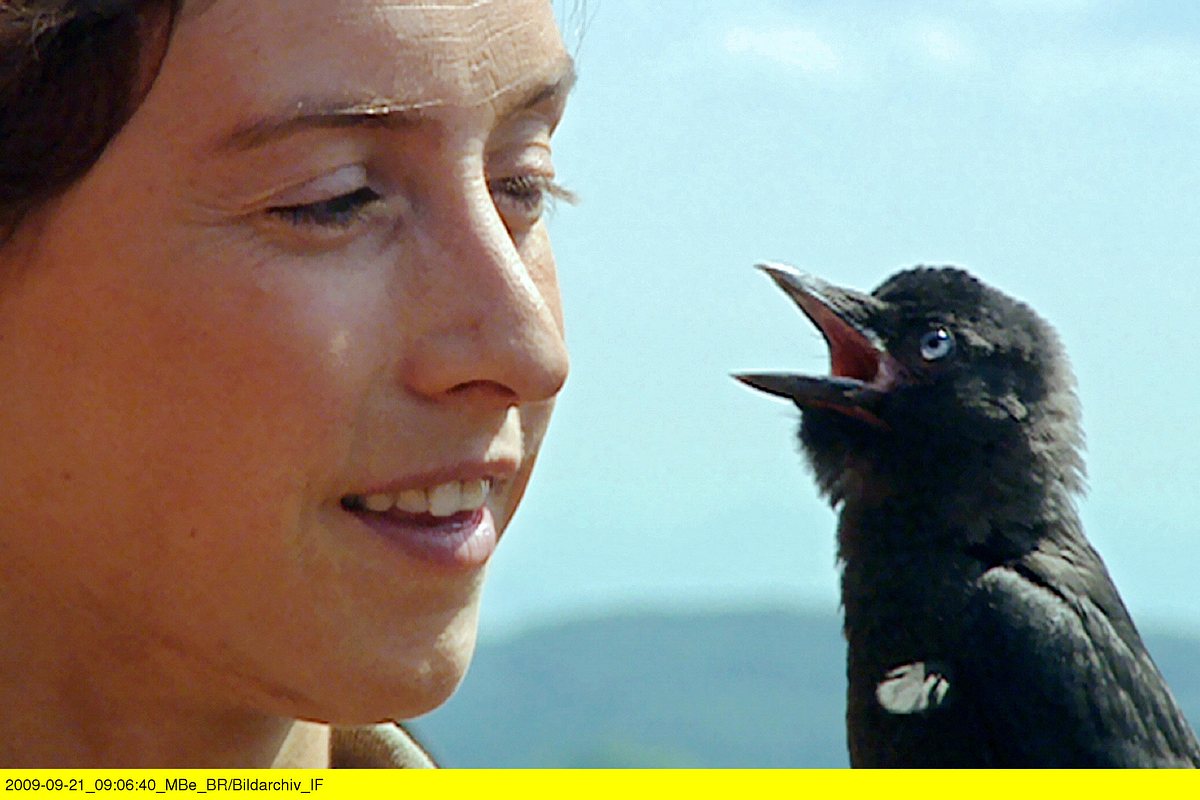 welt der tiere