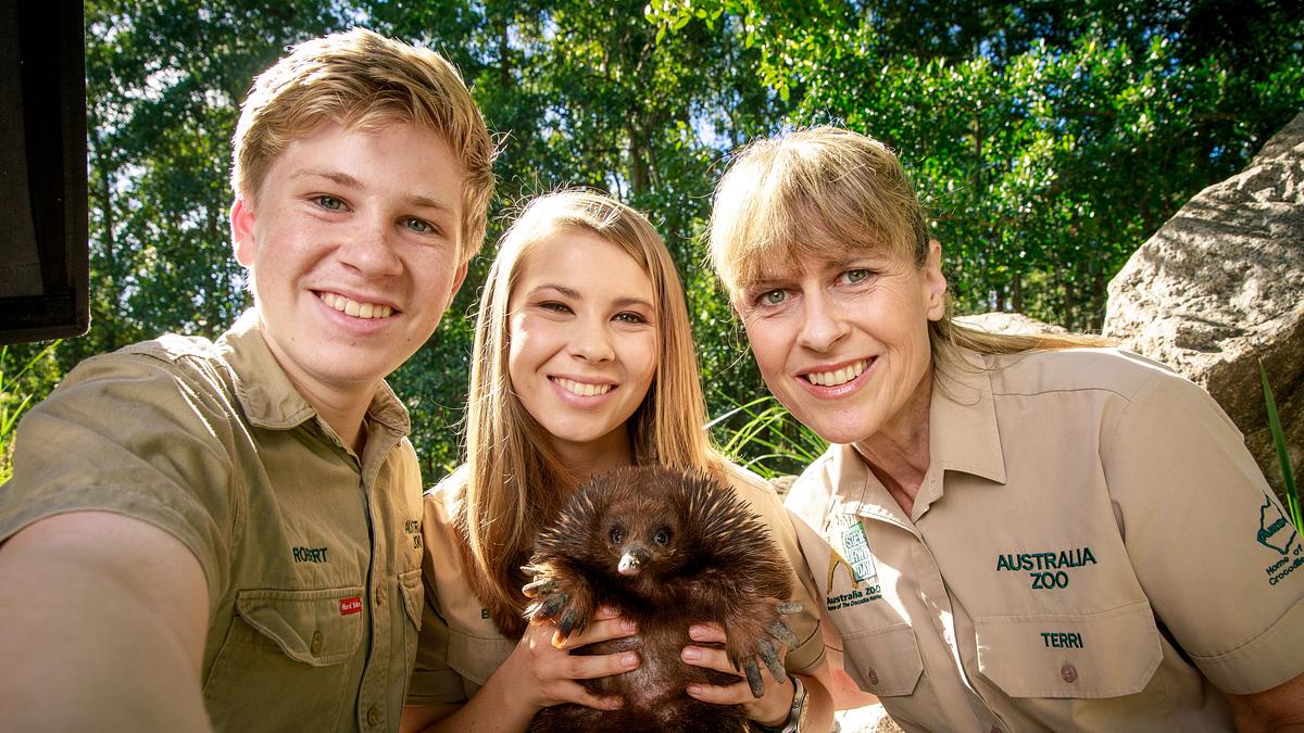 die irwins - crocodile hunter family