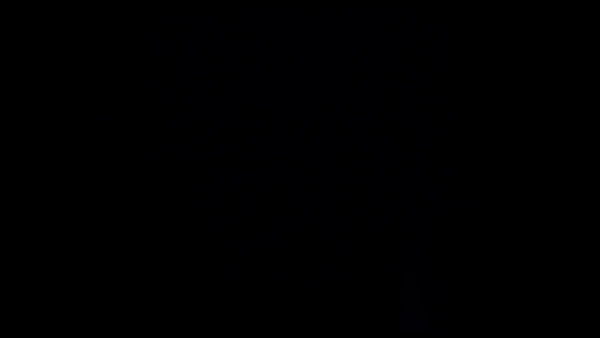 das leben ein tanz