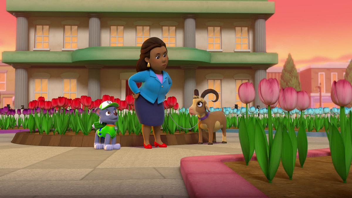 paw patrol - helfer auf vier pfoten