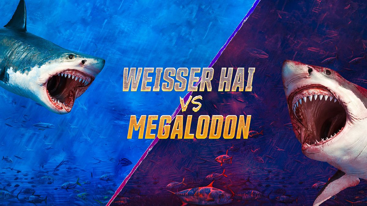 weißer hai vs. megalodon