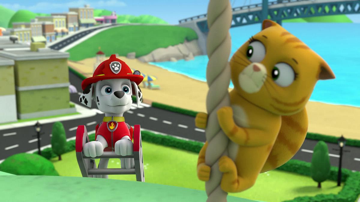 paw patrol - helfer auf vier pfoten