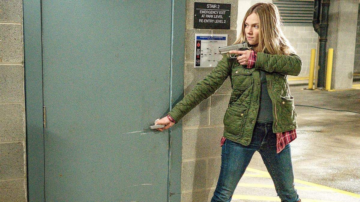 chicago p.d.