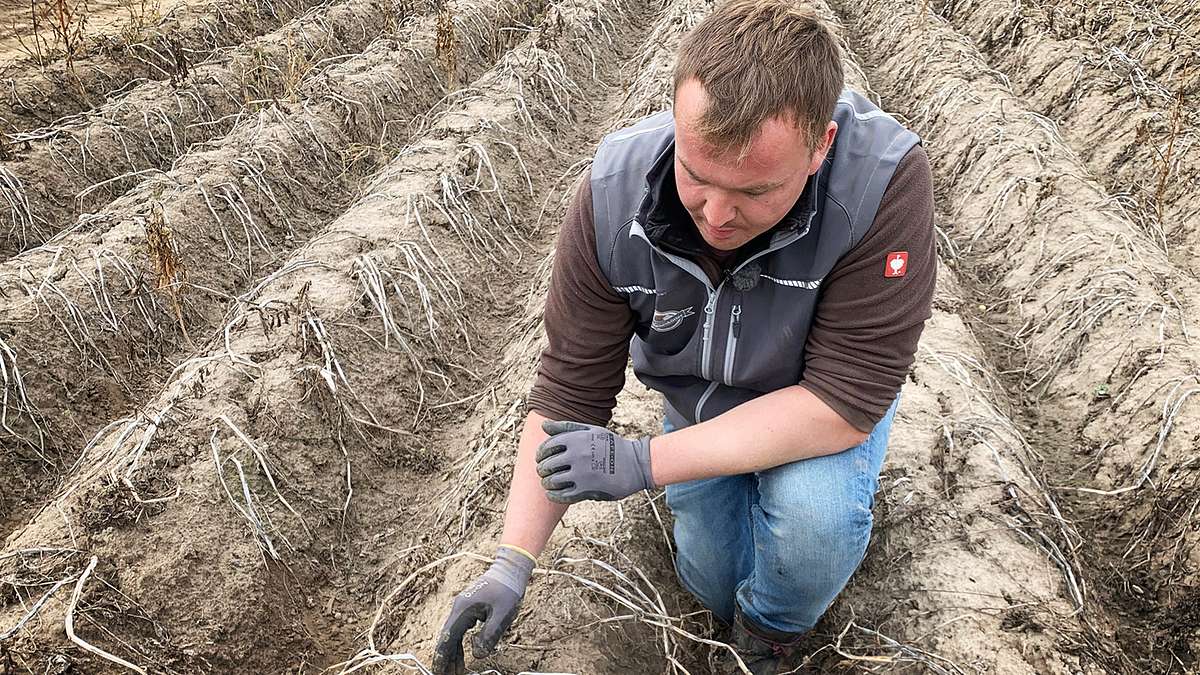 helden der landwirtschaft