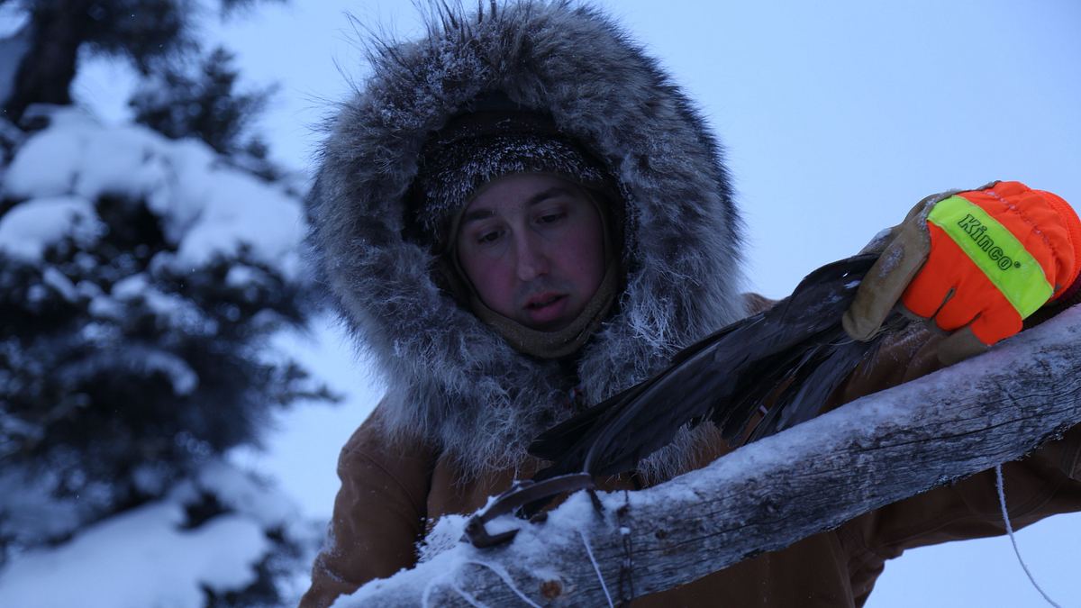 nordalaska - überleben am polarkreis